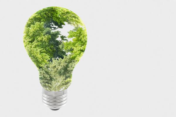 Europski zeleni plan i strategija zelene tranzicija - Inovacijska platforma